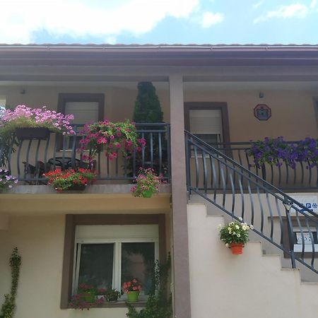 Apartman Kaca Cetinje Bilik gambar